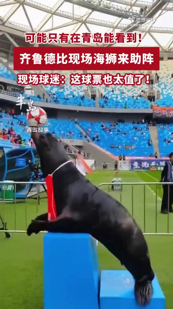 齊魯德比引入海獅表演 現場頂球引球員側目